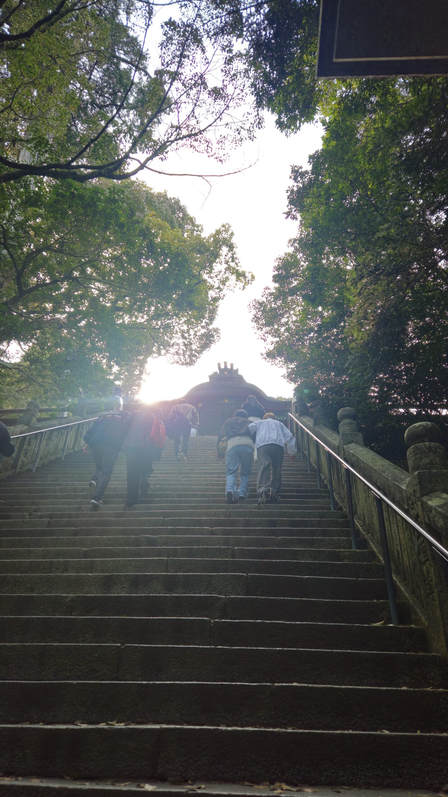 50代からの四国2泊3日モデルコース｜松山・道後温泉・金刀比羅宮・鳴門をレンタカーで巡る旅